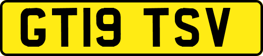GT19TSV