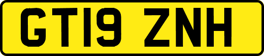 GT19ZNH