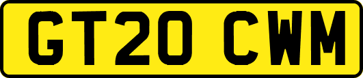 GT20CWM