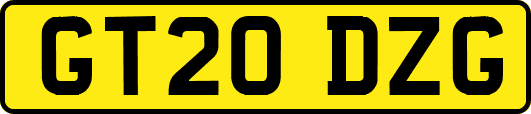 GT20DZG