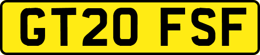GT20FSF