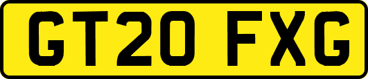 GT20FXG
