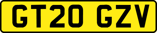 GT20GZV