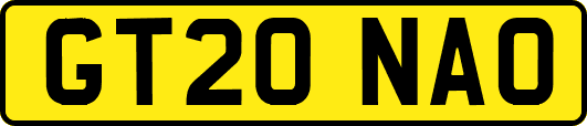 GT20NAO