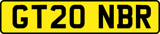 GT20NBR