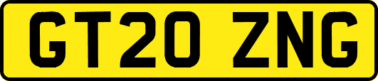 GT20ZNG