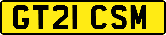 GT21CSM