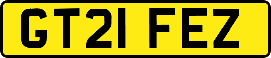 GT21FEZ