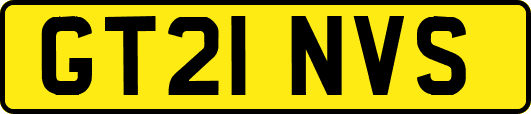 GT21NVS