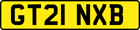 GT21NXB