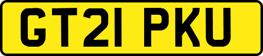 GT21PKU