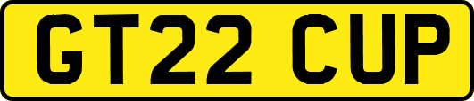 GT22CUP