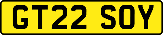 GT22SOY