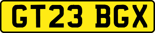 GT23BGX