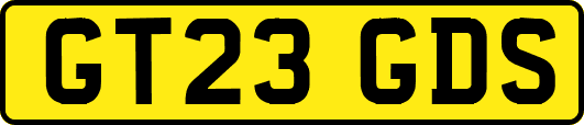 GT23GDS