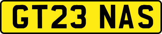 GT23NAS