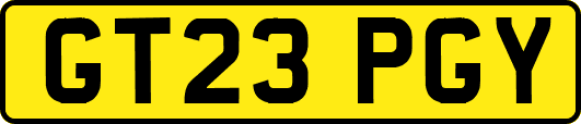 GT23PGY