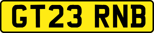 GT23RNB