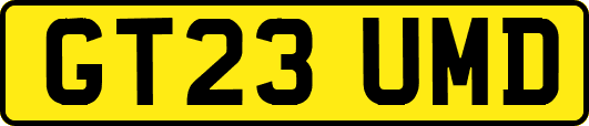 GT23UMD
