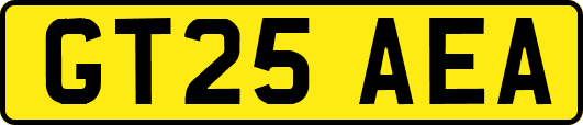 GT25AEA
