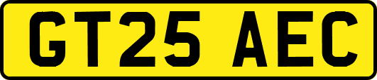 GT25AEC