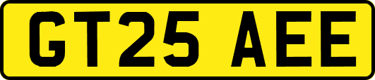 GT25AEE