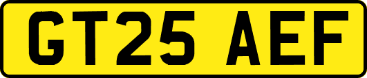 GT25AEF