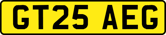 GT25AEG