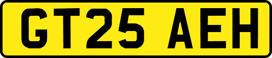 GT25AEH