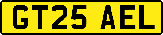 GT25AEL