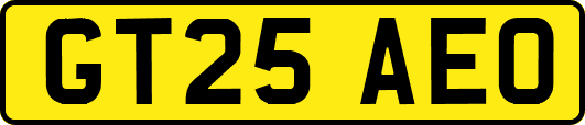 GT25AEO