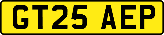GT25AEP