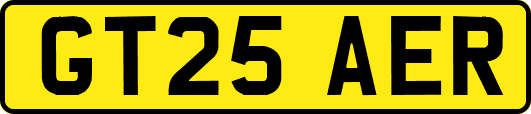 GT25AER