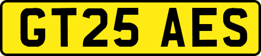 GT25AES