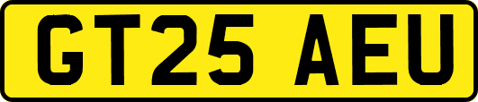 GT25AEU