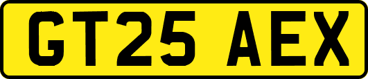 GT25AEX