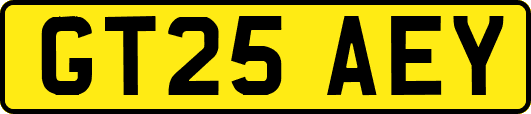 GT25AEY