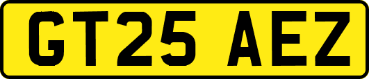 GT25AEZ