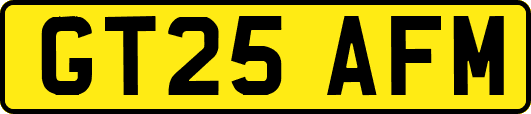 GT25AFM