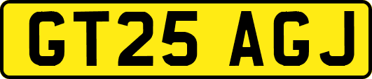 GT25AGJ