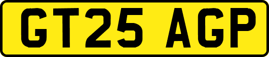 GT25AGP