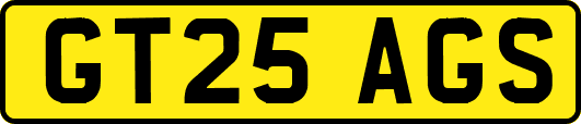 GT25AGS