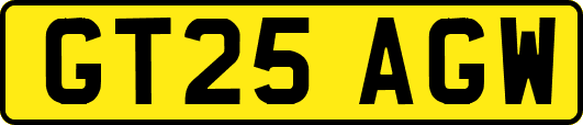 GT25AGW