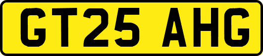GT25AHG