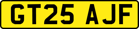 GT25AJF