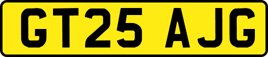 GT25AJG