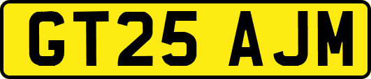 GT25AJM