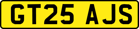 GT25AJS