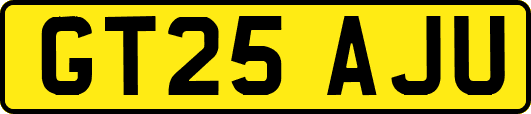 GT25AJU