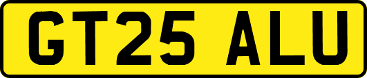 GT25ALU